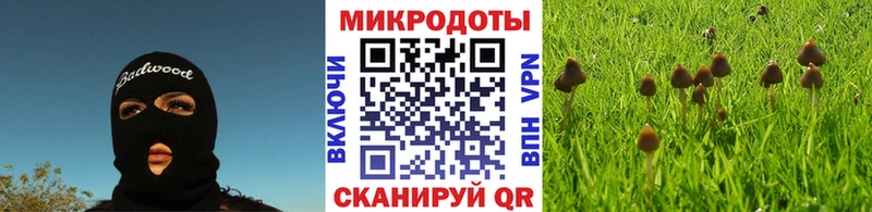 Псилоцибиновые грибы Psilocybine cubensis  blacksprut ССЫЛКА  Сарапул 